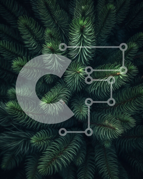 Σετ των 2 Intra Συλλεκτικό Ξύλινο Παζλ Plywood  4mm - Κοντινή όψη ενός κλάδου πεύκου με πράσινες βελόνες Σε Ξύλινο Κουτί - Διαστάσεις: 10x10 cm – 25 κομμάτια