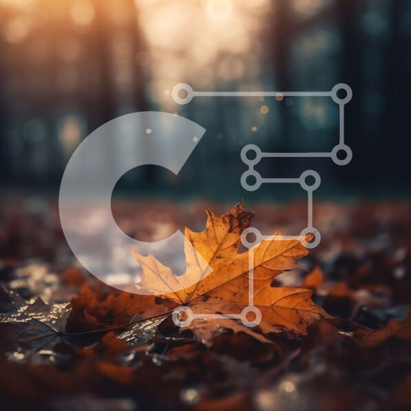 Intra Συλλεκτικό Ξύλινο Παζλ Plywood  4mm - Όμορφη κινηματογράφηση σε πρώτο πλάνο ενός φθινοπωρινού φύλλου σε ένα δάσος Σε Ξύλινο Κουτί - Διαστάσεις: 10x10 cm – 25 κομμάτια