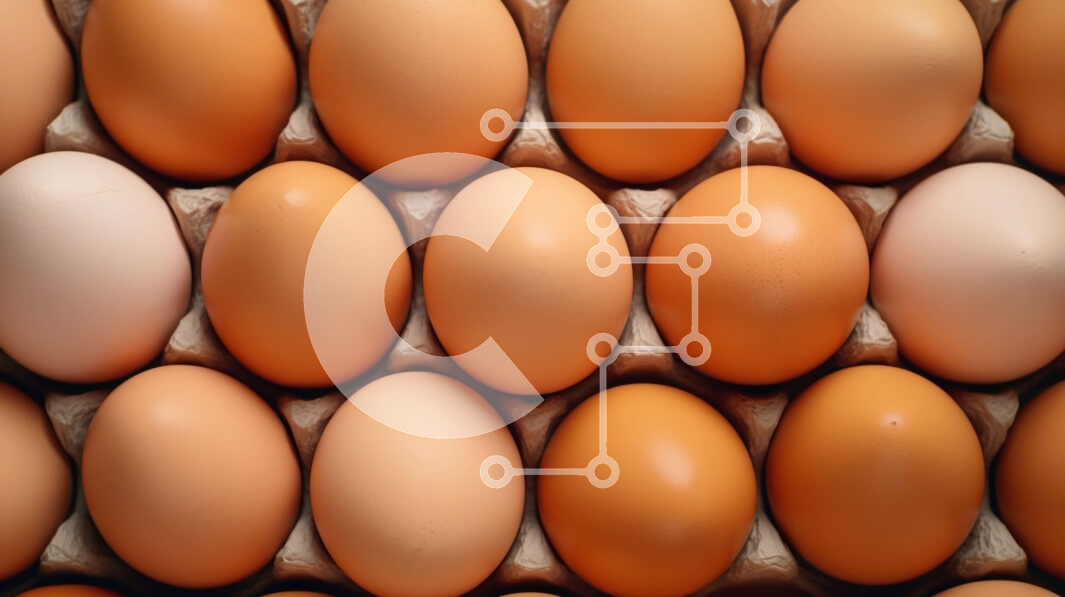 Σετ των 2 Intra Συλλεκτικό Ξύλινο Παζλ Plywood  4mm - Κοντινό πλάνο καφέ αυγών σε ένα χάρτινο κουτί Σε Ξύλινο Κουτί - Διαστάσεις: 10x10 cm – 25 κομμάτια