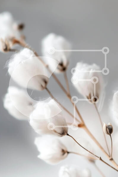 Σετ των 2 Intra Συλλεκτικό Ξύλινο Παζλ Plywood  4mm - Κοντινό πλάνο λευκών λουλουδιών βαμβακιού Σε Ξύλινο Κουτί - Διαστάσεις: 10x10 cm – 25 κομμάτια