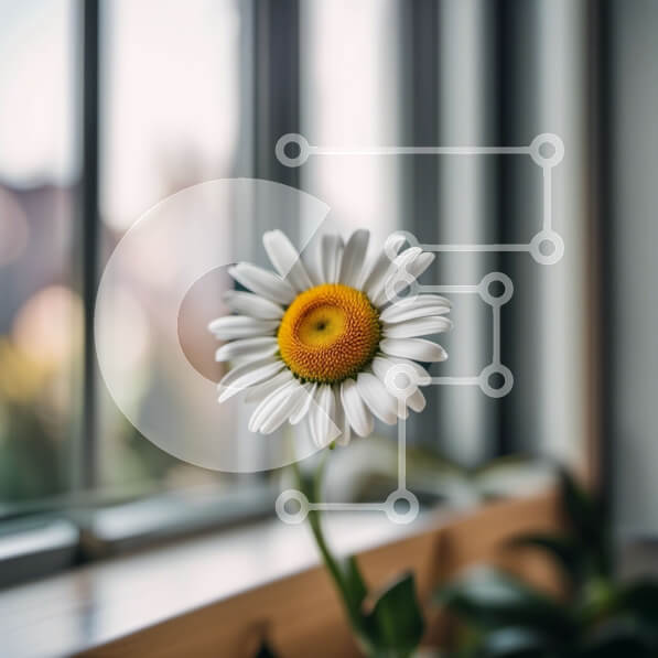 Intra Συλλεκτικό Ξύλινο Παζλ Plywood  4mm - Όμορφη εικόνα μιας λευκής μαργαρίτας σε ένα περβάζι με θέα σε μια πολυσύχναστη πόλη Σε Ξύλινο Κουτί - Διαστάσεις: 10x10 cm – 25 κομμάτια