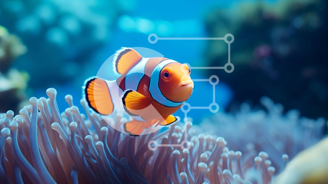 Intra Συλλεκτικό Ξύλινο Παζλ Plywood  4mm - Ψάρι κλόουν που κολυμπά σε έναν πολύχρωμο κοραλλιογενή ύφαλο Σε Ξύλινο Κουτί - Διαστάσεις: 10x10 cm – 25 κομμάτια