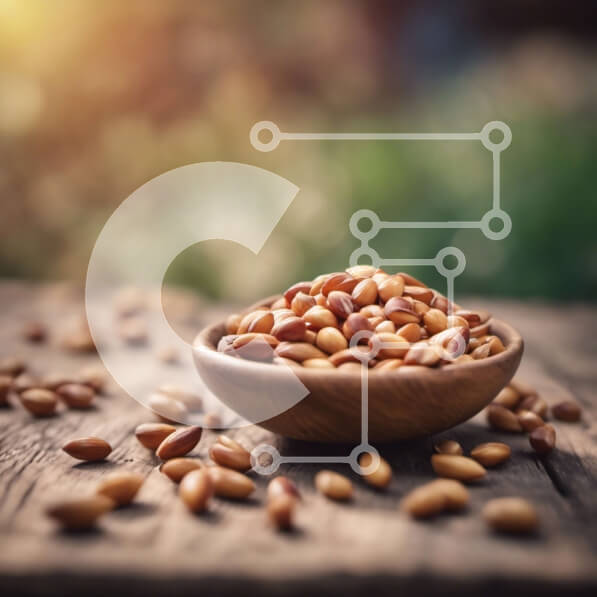 Σετ των 2 Intra Συλλεκτικό Ξύλινο Παζλ Plywood  4mm - Μπολ με καρύδια σε ένα ξύλινο τραπέζι Σε Ξύλινο Κουτί - Διαστάσεις: 10x10 cm – 25 κομμάτια