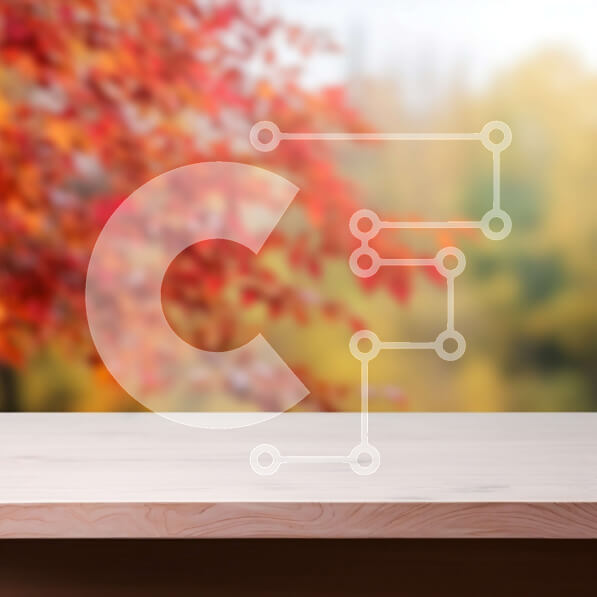 Intra Συλλεκτικό Ξύλινο Παζλ Plywood  4mm - Φθινοπωρινό δάσος φόντο με λευκό λευκό τραπέζι Σε Ξύλινο Κουτί - Διαστάσεις: 10x10 cm – 25 κομμάτια