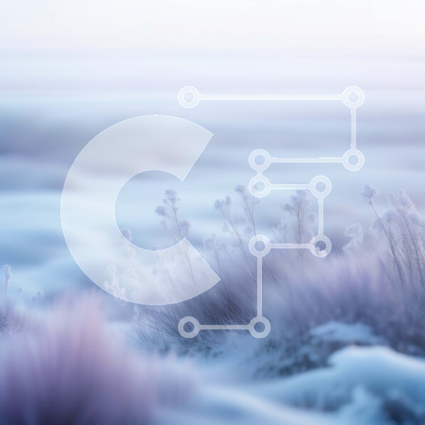 Intra Συλλεκτικό Ξύλινο Παζλ Plywood  4mm - Όμορφη εικόνα ενός χιονισμένου τοπίου με παγετό και συννεφιασμένο ουρανό Σε Ξύλινο Κουτί - Διαστάσεις: 10x10 cm – 25 κομμάτια