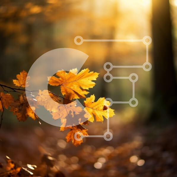 Intra Συλλεκτικό Ξύλινο Παζλ Plywood  4mm - Όμορφη κινηματογράφηση σε πρώτο πλάνο ενός φθινοπωρινού φύλλου στο έδαφος με το φως του ήλιου μέσα από τα δέντρα Σε Ξύλινο Κουτί - Διαστάσεις: 10x10 cm – 25 κομμάτια