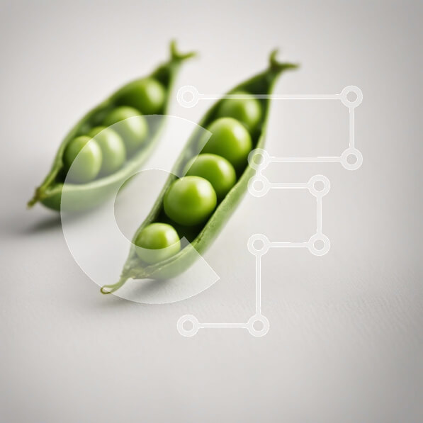 Σετ των 2 Intra Συλλεκτικό Ξύλινο Παζλ Plywood  4mm - Δύο πράσινα μπιζέλια μέσα σε έναν λοβό Σε Ξύλινο Κουτί - Διαστάσεις: 10x10 cm – 25 κομμάτια