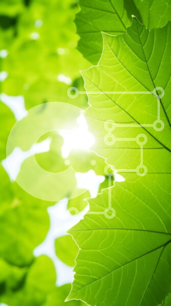 Σετ των 2 Intra Συλλεκτικό Ξύλινο Παζλ Plywood  4mm - Κοντινό πλάνο των πράσινων φύλλων με το φως του ήλιου Σε Ξύλινο Κουτί - Διαστάσεις: 10x10 cm – 25 κομμάτια