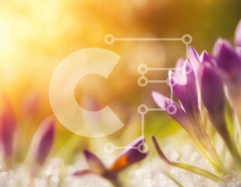 Intra Συλλεκτικό Ξύλινο Παζλ Plywood  4mm - Κοντινή όψη των μωβ κρόκων σε ένα χωράφι Σε Ξύλινο Κουτί - Διαστάσεις: 10x10 cm – 25 κομμάτια