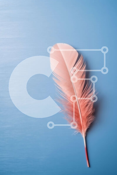 Σετ των 2 Intra Συλλεκτικό Ξύλινο Παζλ Plywood  4mm - Όμορφη εικόνα ενός ροζ φτερού σε μια μπλε επιφάνεια Σε Ξύλινο Κουτί - Διαστάσεις: 10x10 cm – 25 κομμάτια