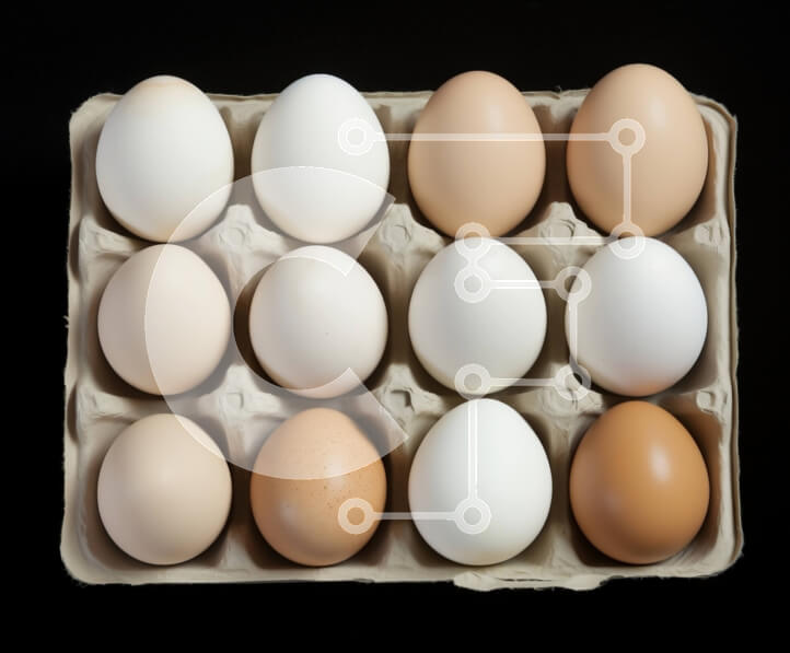 Σετ των 2 Intra Συλλεκτικό Ξύλινο Παζλ Plywood  4mm - Κουτί με αυγά με λευκά και καφέ αυγά στη σειρά Σε Ξύλινο Κουτί - Διαστάσεις: 10x10 cm – 25 κομμάτια