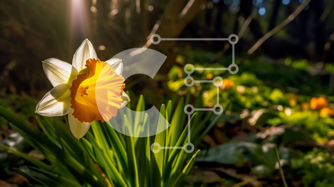 Intra Συλλεκτικό Ξύλινο Παζλ Plywood  4mm - Όμορφη εικόνα ενός κίτρινου λουλουδιού ασφόδελου με πράσινα φύλλα στο φόντο Σε Ξύλινο Κουτί - Διαστάσεις: 10x10 cm – 25 κομμάτια