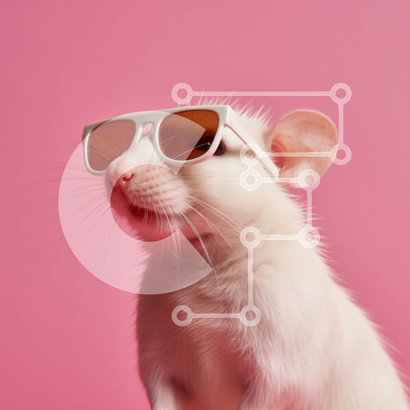 Intra Συλλεκτικό Ξύλινο Παζλ Plywood  4mm - Δροσερός αρουραίος με γυαλιά ηλίου σε μοντέρνο ροζ φόντο Σε Ξύλινο Κουτί - Διαστάσεις: 10x10 cm – 25 κομμάτια