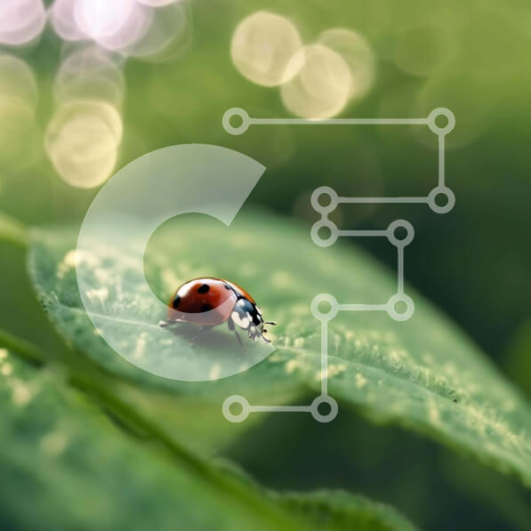 Intra Συλλεκτικό Ξύλινο Παζλ Plywood  4mm - Πασχαλίτσα σε πράσινα φύλλα με φόντο Bokeh Σε Ξύλινο Κουτί - Διαστάσεις: 10x10 cm – 25 κομμάτια