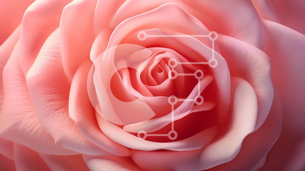 Intra Συλλεκτικό Ξύλινο Παζλ Plywood  4mm - Όμορφη κοντινή εικόνα ενός ροζ τριαντάφυλλου με κίτρινους στήμονες Σε Ξύλινο Κουτί - Διαστάσεις: 10x10 cm – 25 κομμάτια