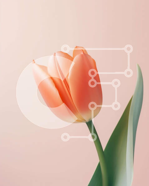 Intra Συλλεκτικό Ξύλινο Παζλ Plywood  4mm - Μονό πορτοκαλί λουλούδι τουλίπας σε ροζ φόντο Σε Ξύλινο Κουτί - Διαστάσεις: 10x10 cm – 25 κομμάτια