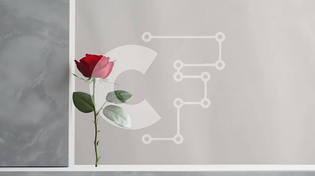 Intra Συλλεκτικό Ξύλινο Παζλ Plywood  4mm - Μονό κόκκινο τριαντάφυλλο που αναπτύσσεται από λευκούς τοίχους Σε Ξύλινο Κουτί - Διαστάσεις: 10x10 cm – 25 κομμάτια