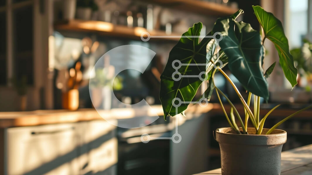 Intra Συλλεκτικό Ξύλινο Παζλ Plywood  4mm - Φυτό σε γλάστρα στον πάγκο της κουζίνας Σε Ξύλινο Κουτί - Διαστάσεις Puzzle: 10x10 cm – 25 κομμάτια