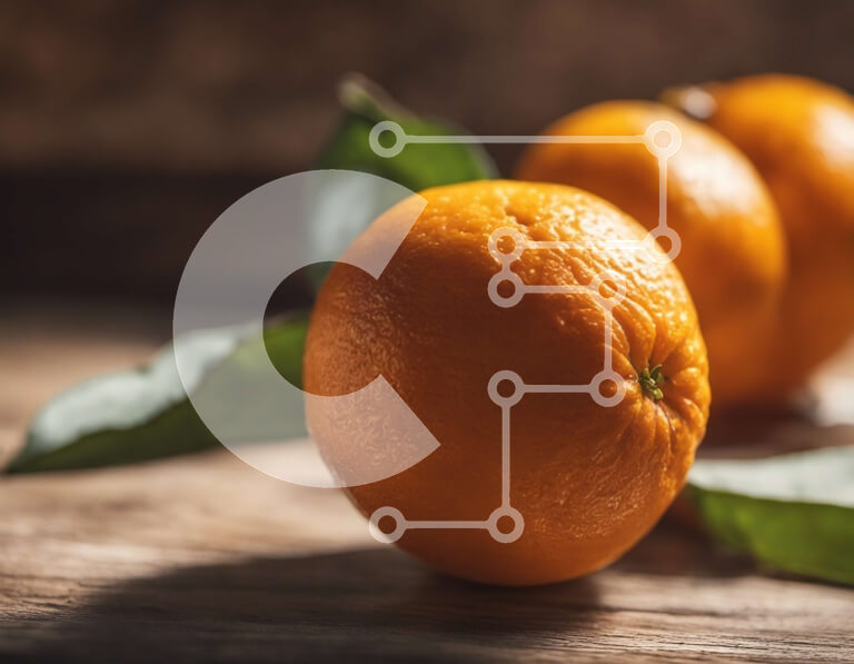 Σετ των 2 Intra Συλλεκτικό Ξύλινο Παζλ Plywood  4mm - Δύο ώριμα πορτοκάλια σε ξύλινη επιφάνεια Σε Ξύλινο Κουτί - Διαστάσεις: 10x10 cm – 25 κομμάτια