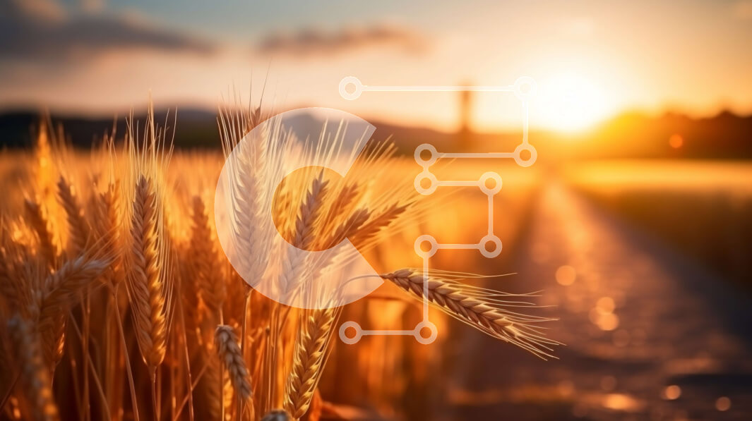 Intra Συλλεκτικό Ξύλινο Παζλ Plywood  4mm - Εκπληκτική εικόνα ενός χρυσού χωραφιού σίτου στο ηλιοβασίλεμα Σε Ξύλινο Κουτί - Διαστάσεις: 10x10 cm – 25 κομμάτια