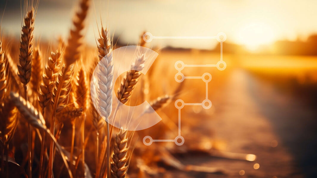 Intra Συλλεκτικό Ξύλινο Παζλ Plywood  4mm - Όμορφη εικόνα ενός χωραφιού με χρυσό σιτάρι στο ηλιοβασίλεμα Σε Ξύλινο Κουτί - Διαστάσεις: 10x10 cm – 25 κομμάτια