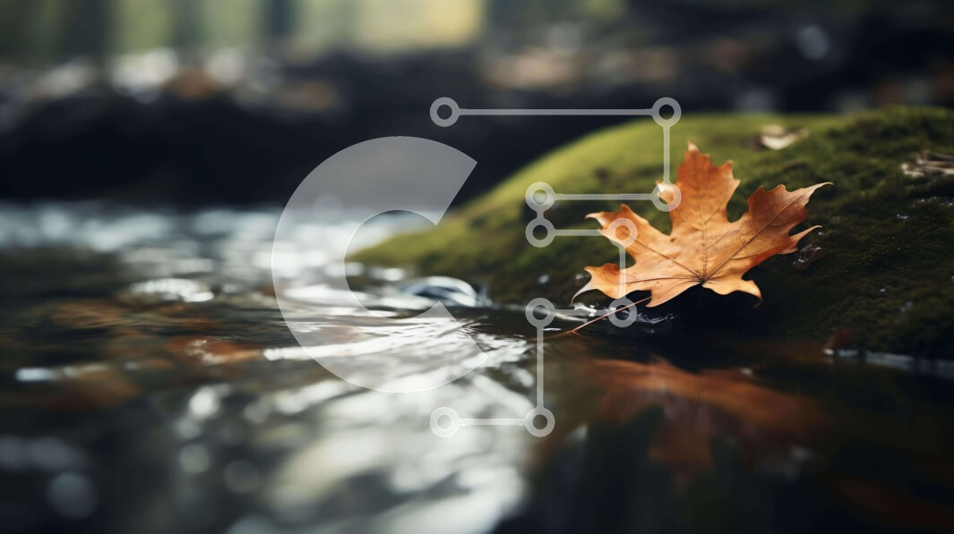 Intra Συλλεκτικό Ξύλινο Παζλ Plywood  4mm - Πορτοκαλί φύλλο σε βράχους καλυμμένους με βρύα στο νερό Σε Ξύλινο Κουτί - Διαστάσεις: 10x10 cm – 25 κομμάτια