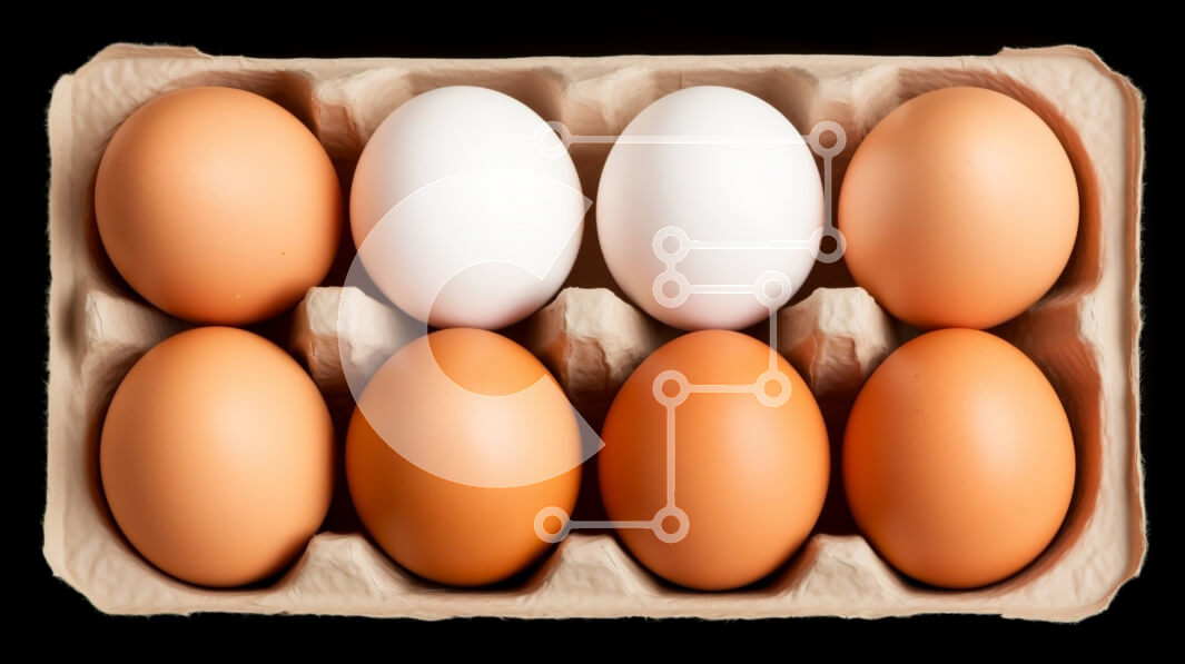 Σετ των 2 Intra Συλλεκτικό Ξύλινο Παζλ Plywood  4mm - Έξι καφέ αυγά σε ένα χαρτόκουτο Σε Ξύλινο Κουτί - Διαστάσεις: 10x10 cm – 25 κομμάτια