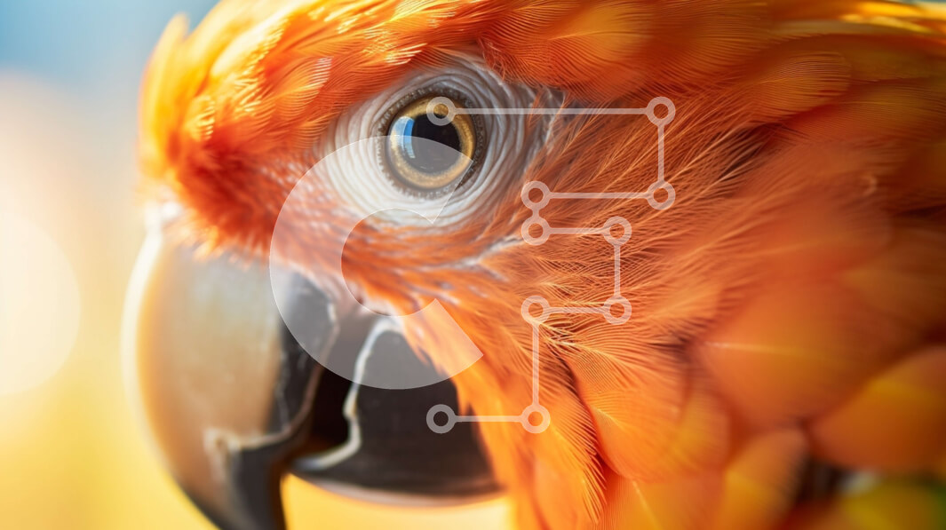 Σετ των 2 Intra Συλλεκτικό Ξύλινο Παζλ Plywood  4mm - Πολύχρωμη κινηματογράφηση σε πρώτο πλάνο ενός πορτοκαλιού παπαγάλου Σε Ξύλινο Κουτί - Διαστάσεις: 10x10 cm – 25 κομμάτια