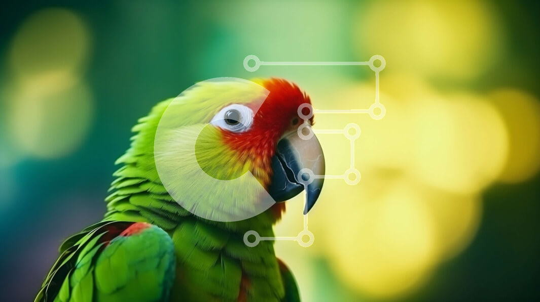 Σετ των 2 Intra Συλλεκτικό Ξύλινο Παζλ Plywood  4mm - Πολύχρωμος παπαγάλος σε θολό φόντο Σε Ξύλινο Κουτί - Διαστάσεις: 10x10 cm – 25 κομμάτια