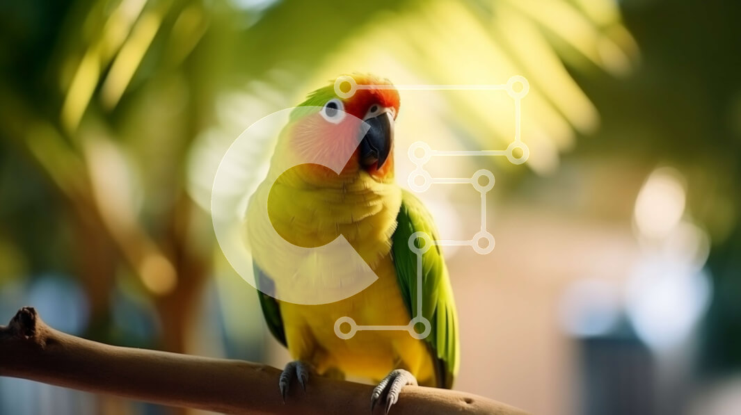 Σετ των 2 Intra Συλλεκτικό Ξύλινο Παζλ Plywood  4mm - Πολύχρωμος παπαγάλος σκαρφαλωμένος σε κλαδί δέντρου Σε Ξύλινο Κουτί - Διαστάσεις: 10x10 cm – 25 κομμάτια