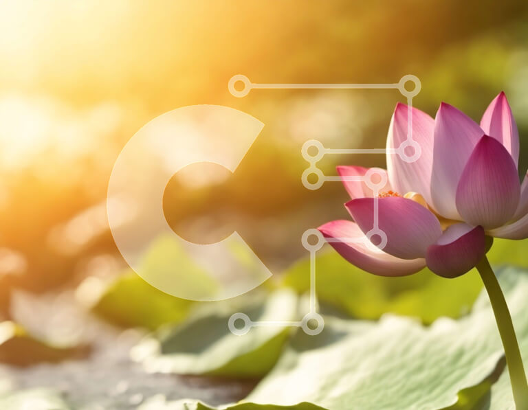 Intra Συλλεκτικό Ξύλινο Παζλ Plywood  4mm - Ροζ λουλούδι λωτού με πράσινα φύλλα Σε Ξύλινο Κουτί - Διαστάσεις: 10x10 cm – 25 κομμάτια