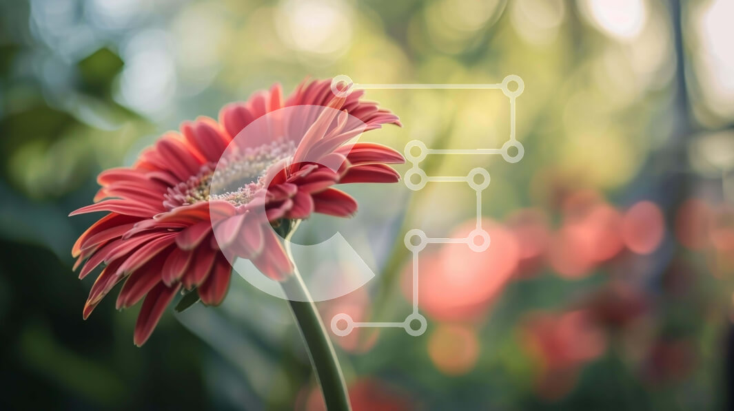 Intra Συλλεκτικό Ξύλινο Παζλ Plywood  4mm - Ζωντανό κόκκινο λουλούδι σε πλήρη άνθιση Σε Ξύλινο Κουτί - Διαστάσεις: 10x10 cm – 25 κομμάτια