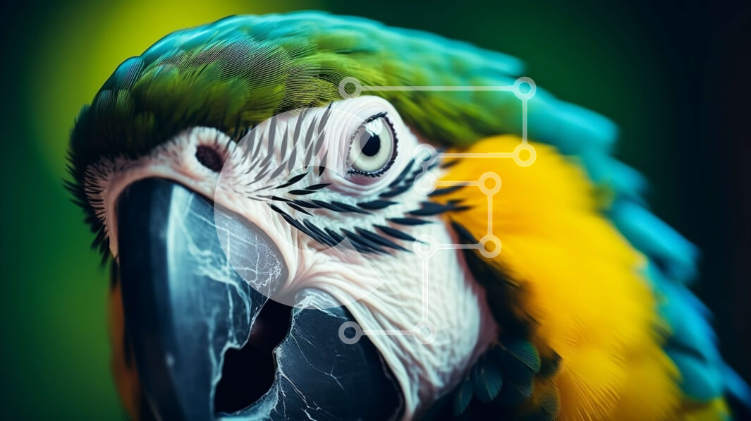 Σετ των 2 Intra Συλλεκτικό Ξύλινο Παζλ Plywood  4mm - Πολύχρωμος παπαγάλος σε πρώτο πλάνο Σε Ξύλινο Κουτί - Διαστάσεις: 10x10 cm – 25 κομμάτια