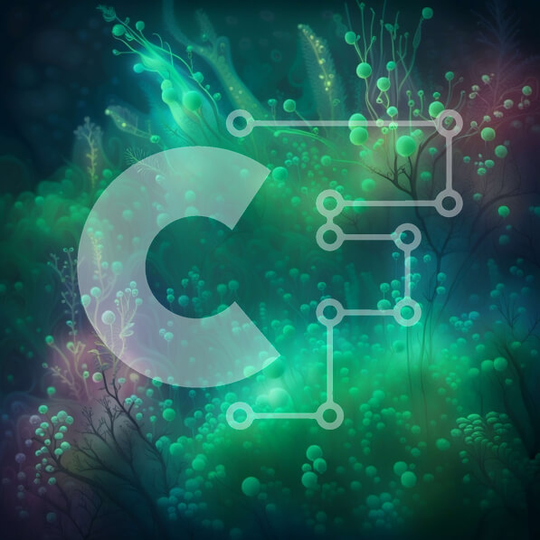 Intra Συλλεκτικό Ξύλινο Παζλ Plywood  4mm - Υποβρύχια σκηνή με υδρόβια φυτά και πλάσματα Σε Ξύλινο Κουτί - Διαστάσεις: 10x10 cm – 25 κομμάτια