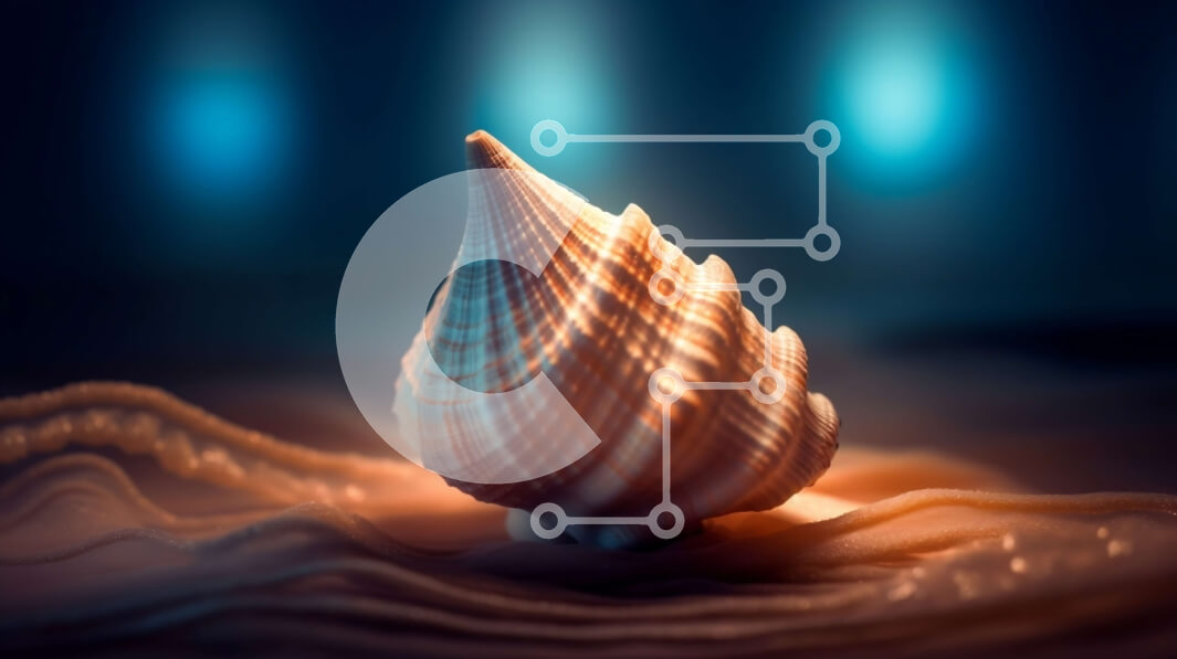 Intra Συλλεκτικό Ξύλινο Παζλ Plywood  4mm - Όμορφο κοχύλι στην αμμώδη παραλία στο ηλιοβασίλεμα Σε Ξύλινο Κουτί - Διαστάσεις: 10x10 cm – 25 κομμάτια