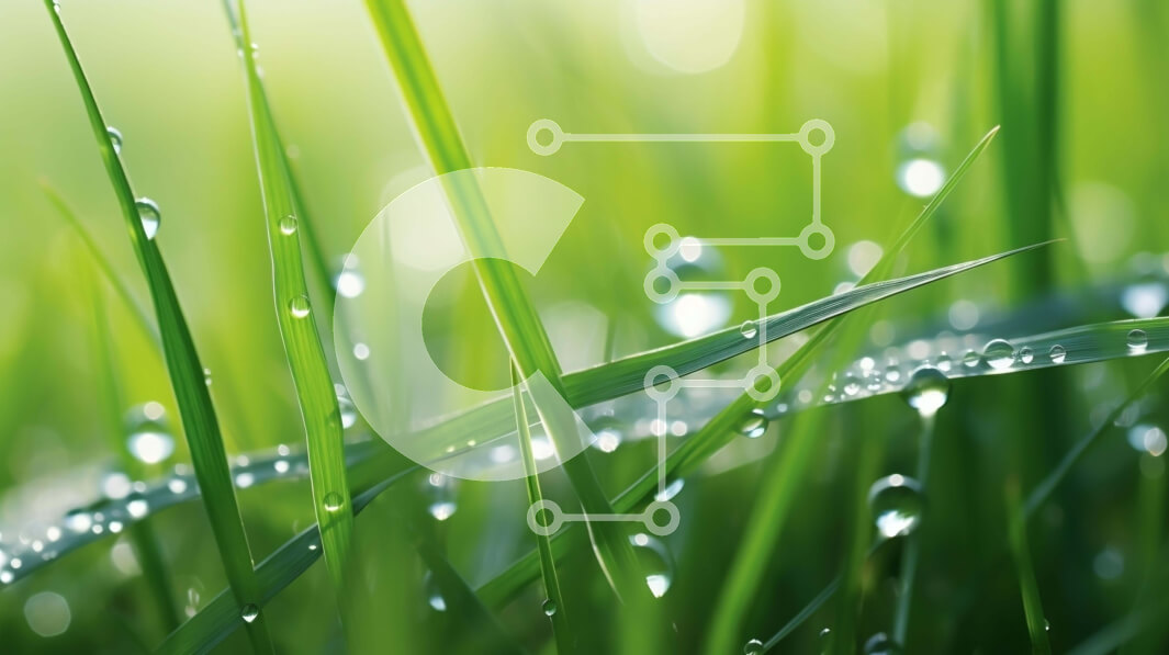 Intra Συλλεκτικό Ξύλινο Παζλ Plywood  4mm - Κοντινό πλάνο της πράσινης χλόης με σταγονίδια νερού Σε Ξύλινο Κουτί - Διαστάσεις: 10x10 cm – 25 κομμάτια