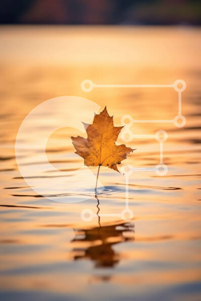 Σετ των 2 Intra Συλλεκτικό Ξύλινο Παζλ Plywood  4mm - Όμορφη εικόνα ενός κίτρινου φύλλου στην ήρεμη λίμνη στο ηλιοβασίλεμα Σε Ξύλινο Κουτί - Διαστάσεις: 10x10 cm – 25 κομμάτια