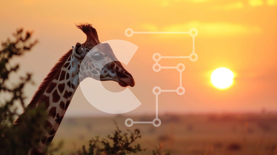 Σετ των 2 Intra Συλλεκτικό Ξύλινο Παζλ Plywood  4mm - Καμηλοπάρδαλη στην άγρια ​​φύση στο ηλιοβασίλεμα Σε Ξύλινο Κουτί - Διαστάσεις: 10x10 cm – 25 κομμάτια