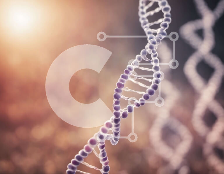 Intra Συλλεκτικό Ξύλινο Παζλ Plywood  4mm - Κοντινή όψη ενός κλώνου DNA Σε Ξύλινο Κουτί - Διαστάσεις Puzzle: 10x10 cm – 25 κομμάτια