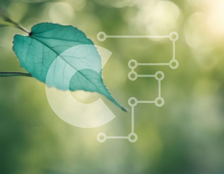 Intra Συλλεκτικό Ξύλινο Παζλ Plywood  4mm - Κοντινό πλάνο ενός πράσινου φύλλου σε ένα κλαδί δέντρου Σε Ξύλινο Κουτί - Διαστάσεις: 10x10 cm – 25 κομμάτια