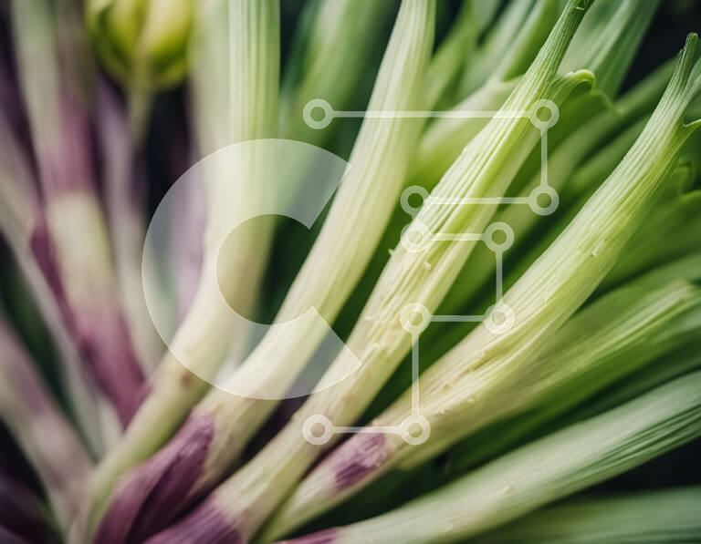 Intra Συλλεκτικό Ξύλινο Παζλ Plywood  4mm - Κοντινό πλάνο με πράσινα, μοβ και κίτρινα στελέχη σε έναν κήπο Σε Ξύλινο Κουτί - Διαστάσεις: 10x10 cm – 25 κομμάτια