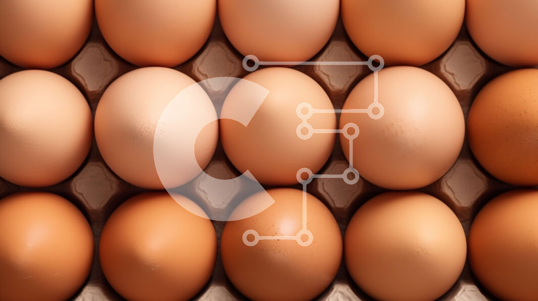 Σετ των 2 Intra Συλλεκτικό Ξύλινο Παζλ Plywood  4mm - Ομάδα καφέ αυγών σε χάρτινο κουτί Σε Ξύλινο Κουτί - Διαστάσεις: 10x10 cm – 25 κομμάτια