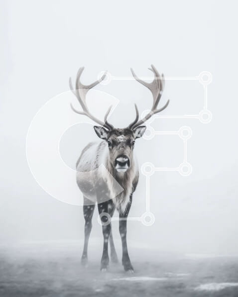 Σετ των 2 Intra Συλλεκτικό Ξύλινο Παζλ Plywood  4mm - Εκπληκτική εικόνα ενός τάρανδου σε μια χιονισμένη πεδιάδα με ελαφοκέρατα καλυμμένα με παγετό Σε Ξύλινο Κουτί - Διαστάσεις: 10x10 cm – 25 κομμάτια