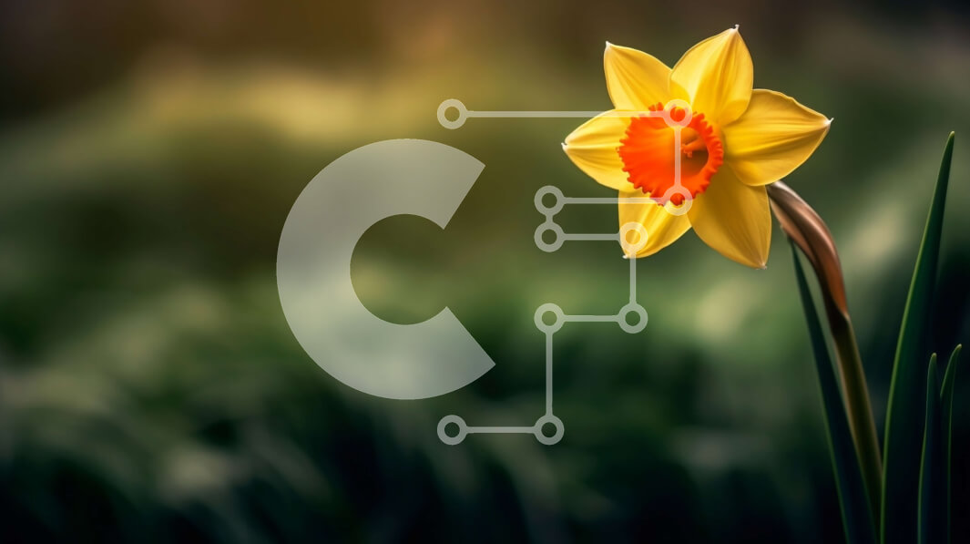 Intra Συλλεκτικό Ξύλινο Παζλ Plywood  4mm - Πανέμορφη εικόνα ενός κίτρινου λουλουδιού ασφόδελου στο ηλιοβασίλεμα Σε Ξύλινο Κουτί - Διαστάσεις: 10x10 cm – 25 κομμάτια