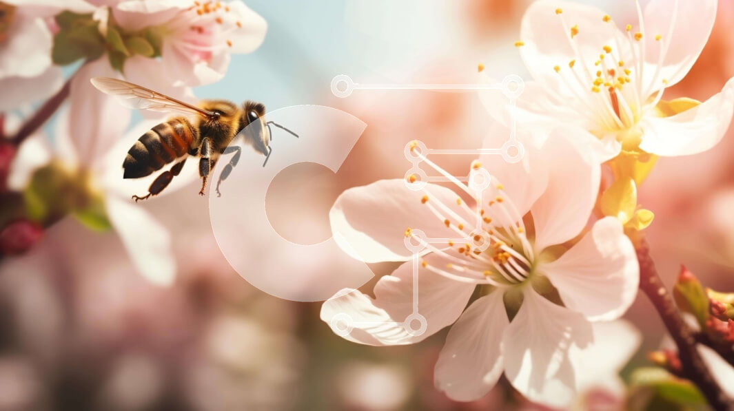 Intra Συλλεκτικό Ξύλινο Παζλ Plywood  4mm - Μέλισσα που πετά κοντά σε ανθισμένες κερασιές Σε Ξύλινο Κουτί - Διαστάσεις: 10x10 cm – 25 κομμάτια