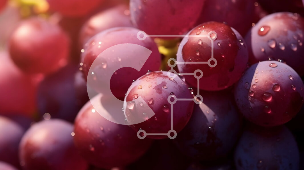 Intra Συλλεκτικό Ξύλινο Παζλ Plywood  4mm - Κόκκινα σταφύλια σε αμπέλι με σταγονίδια νερού Σε Ξύλινο Κουτί - Διαστάσεις: 10x10 cm – 25 κομμάτια