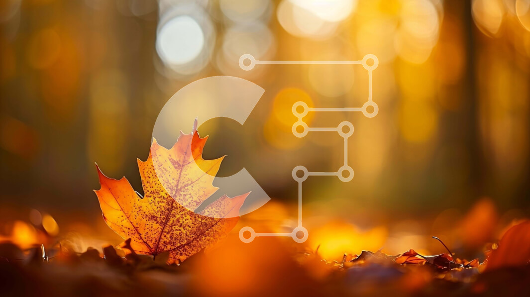 Intra Συλλεκτικό Ξύλινο Παζλ Plywood  4mm - Πορτοκαλί φύλλο στο δασικό έδαφος Σε Ξύλινο Κουτί - Διαστάσεις: 10x10 cm – 25 κομμάτια