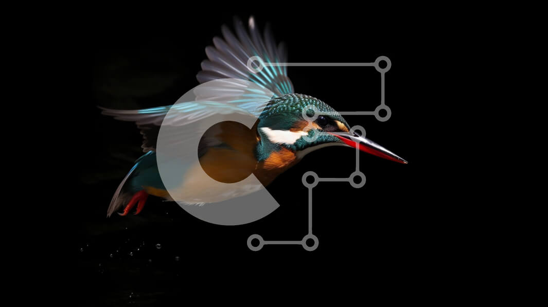 Σετ των 2 Intra Συλλεκτικό Ξύλινο Παζλ Plywood  4mm - Ζωντανή φωτογραφία ενός πολύχρωμου πουλιού που πετά με ανοιχτά φτερά Σε Ξύλινο Κουτί - Διαστάσεις: 10x10 cm – 25 κομμάτια