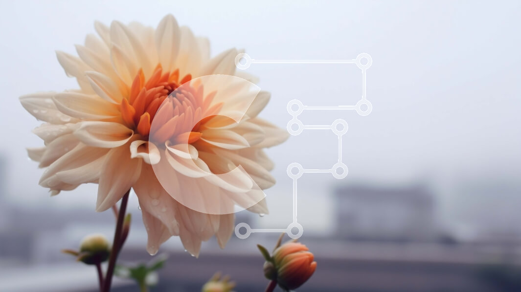 Intra Συλλεκτικό Ξύλινο Παζλ Plywood  4mm - Μονό πορτοκαλί λουλούδι σε διακοσμητικό σκηνικό Σε Ξύλινο Κουτί - Διαστάσεις: 10x10 cm – 25 κομμάτια