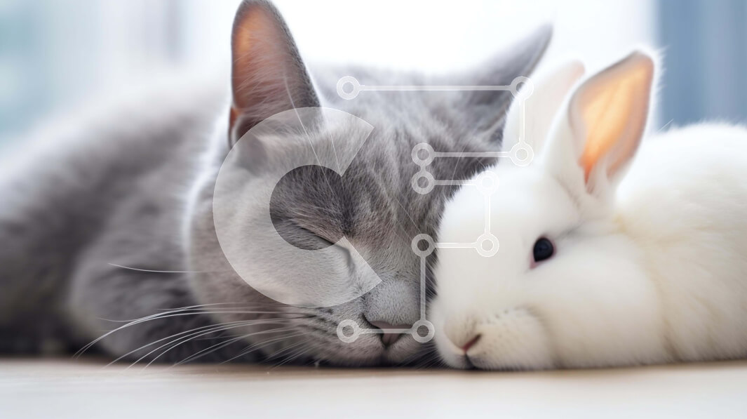 Intra Συλλεκτικό Ξύλινο Παζλ Plywood  4mm - Γκρίζα γάτα και λευκό κουνέλι που αγκαλιάζονται μαζί Σε Ξύλινο Κουτί - Διαστάσεις: 10x10 cm – 25 κομμάτια